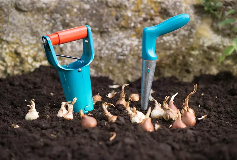Den Frühlingszauber pflanzen Kutter Gartencenter