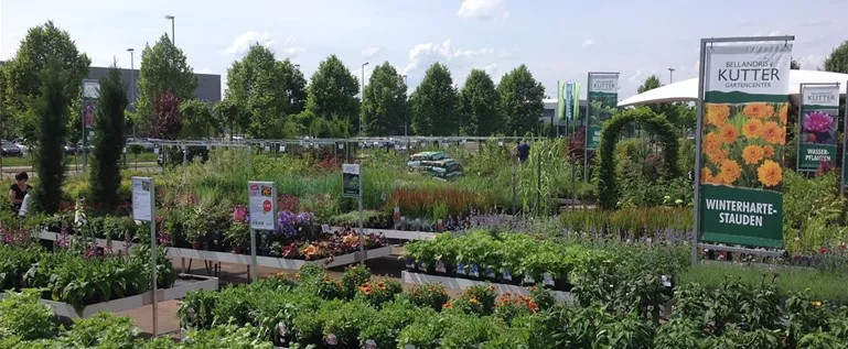Stauden Kutter Gartencenter
