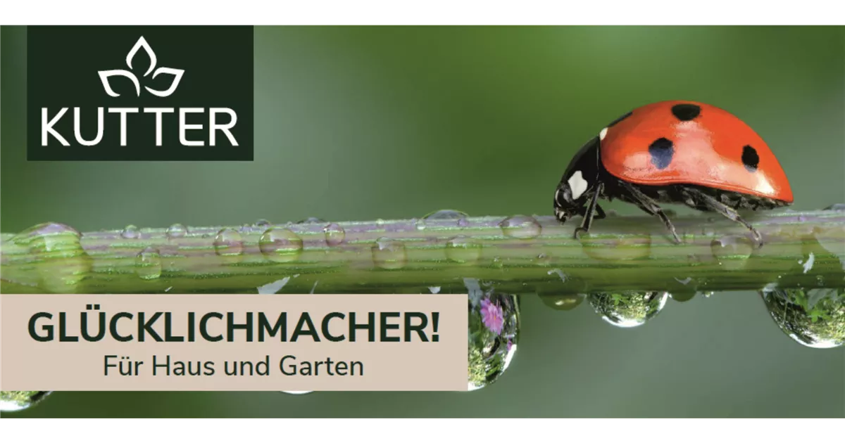 Gutschein Memmingen Kutter Gartencenter