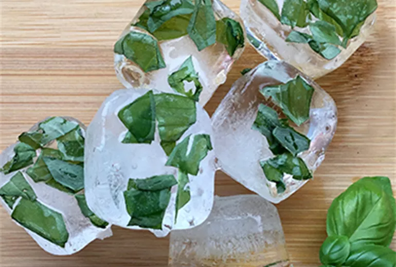 Dekorative Eiswürfel selber machen - Kutter Gartencenter Dekorative Eiswürfel selber machen - Kutter Gartencenter