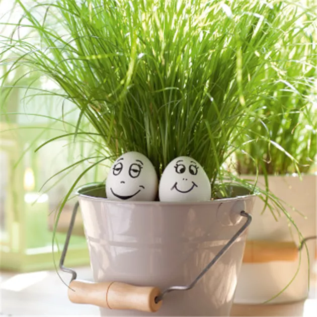 hnge blumenkasten Blumenkasten BALCONI Metall Blumenkorb H/B/T 18,5/64/19,5 cm Eisen, du