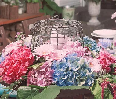 Dekorative Herbstkränze