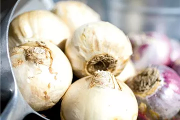 Pflanz den Frühling