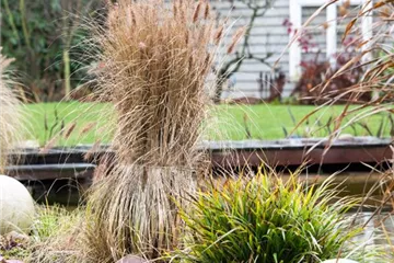 Gut verpackt in frostigen Zeiten