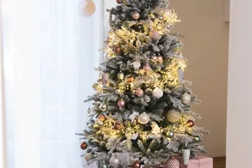 Oh Tannenbaum: Finde den Richtigen