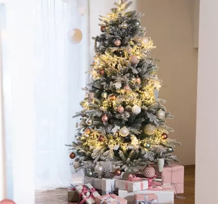 Oh Tannenbaum: Finde den Richtigen