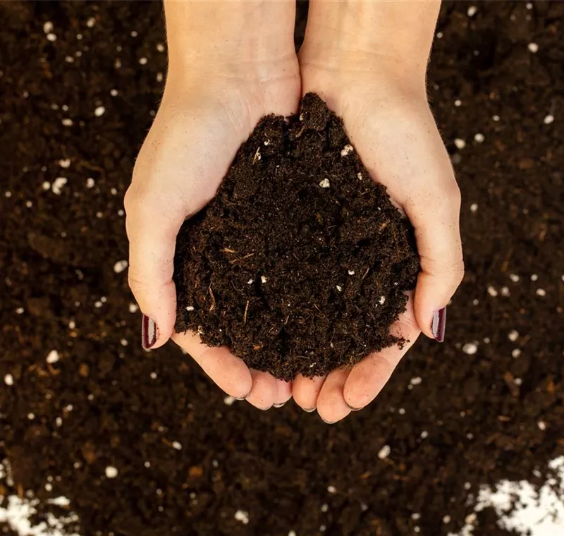 Blumenerde, Rindenmulch & Dünger 