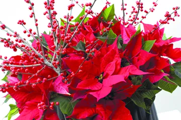 Tolle Sträuße und Pflanzideen zum Fest