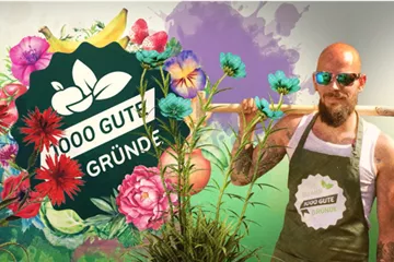 Amaryllis, oder was ihr zum Ritterstern wissen müsst