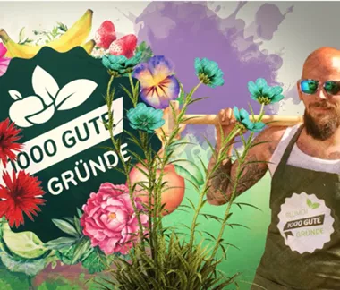 Amaryllis, oder was ihr zum Ritterstern wissen müsst