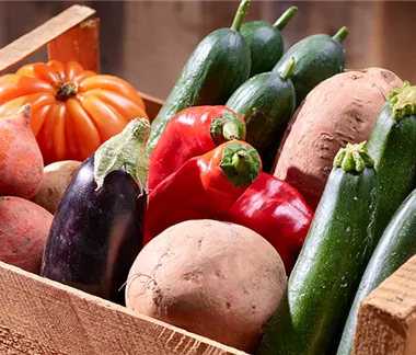 OMAS SUPERFOODS - GUT FÜRS IMMUNSYSTEM