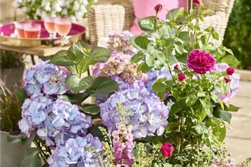 Terrasse & Balkon im Juni