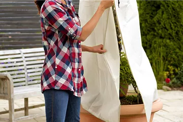 Winterschutz für mediterrane Pflanzen