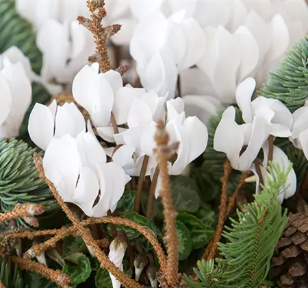 Florale Geschenkideen