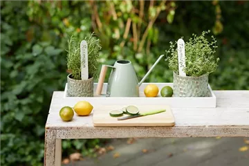 So gelingt die Anzucht!