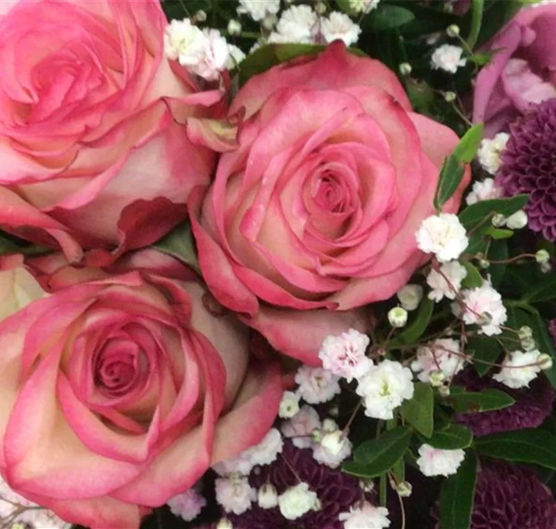 Schnittblumen & Sträuße 