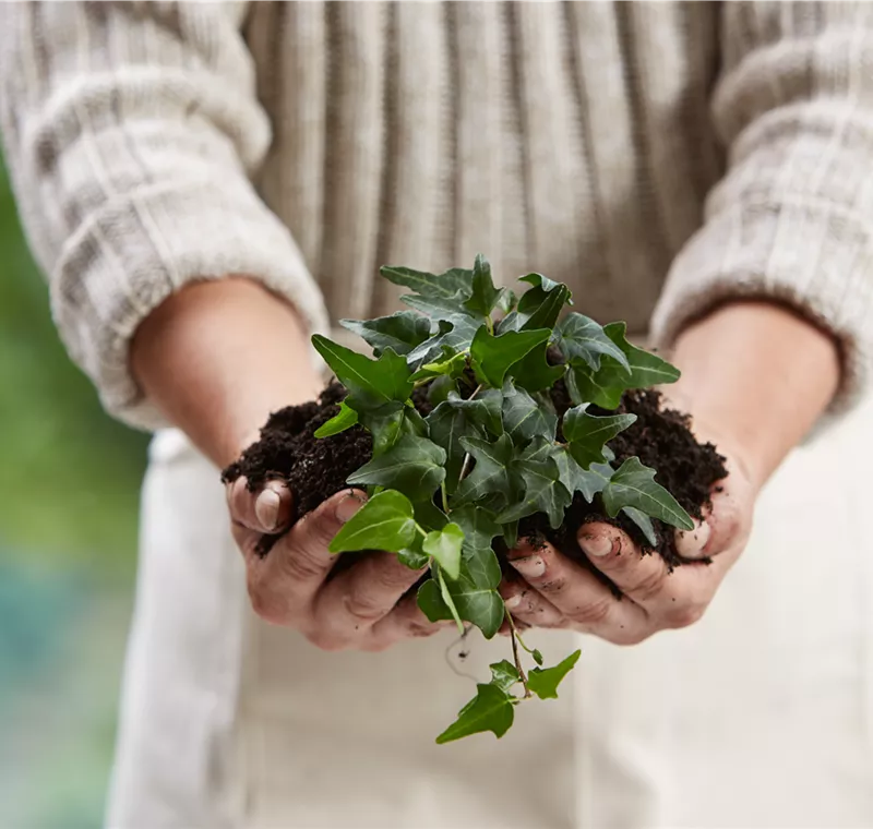 Qualitätsversprechen