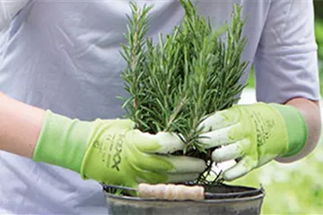 Gartenarbeiten im April