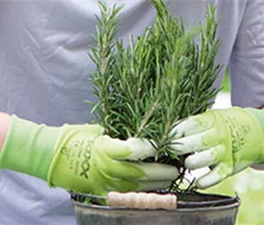 Gartenarbeiten im April