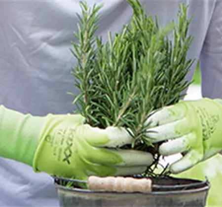 Gartenarbeiten im April