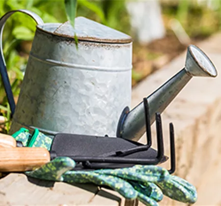 Allgemeine Gartenarbeit im August