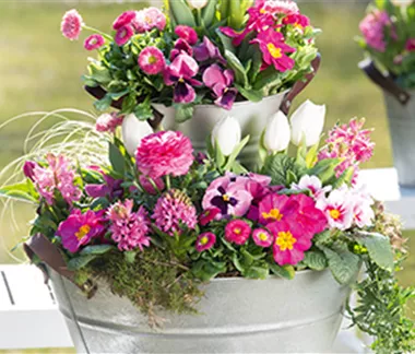 Terrasse & Balkon im April