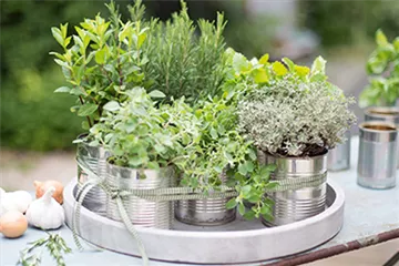 Gemüse-, Kräuter- und Obstgarten im April