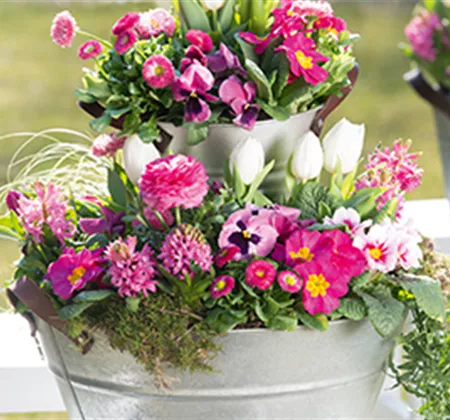 Terrasse & Balkon im Mai