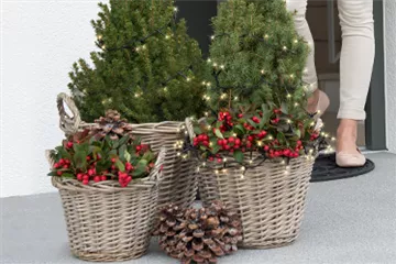 Terrasse & Balkon im Dezember