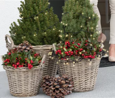 Terrasse & Balkon im Dezember