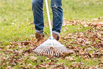 Allgemeine Gartenarbeit im Juli