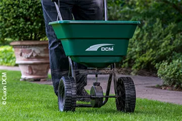 Schöner Herbstrasen