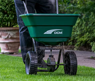 Schöner Herbstrasen