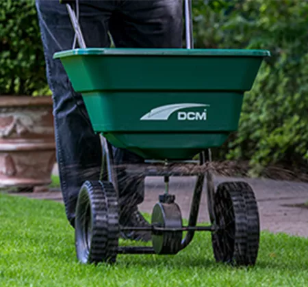 Schöner Herbstrasen