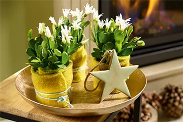 Weihnachtsdeko in Grün und Gold