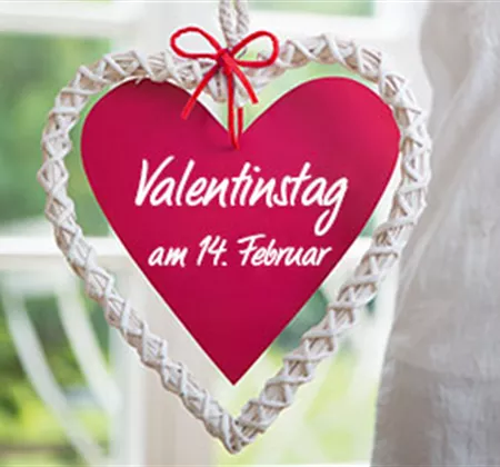 Ideen zum Valentinstag