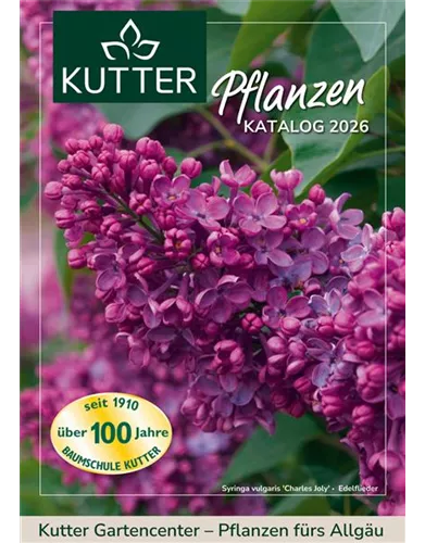 2026 Kutter Titelseite.jpg