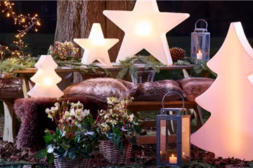 Winter-Gemütlichkeit vor der Haustür 