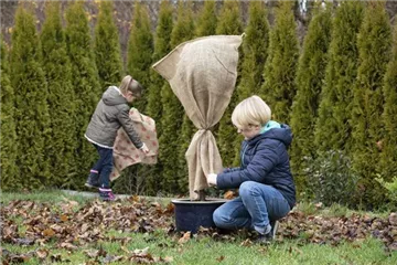 Allgemeine Gartenarbeit im November