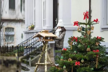 Allgemeine Gartenarbeit im Dezember