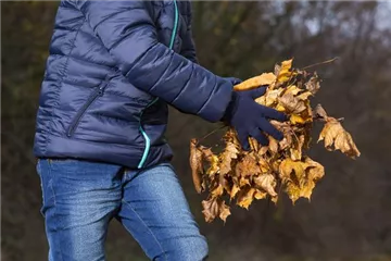 Allgemeine Gartenarbeit im Oktober