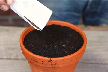 Ziergarten im Januar