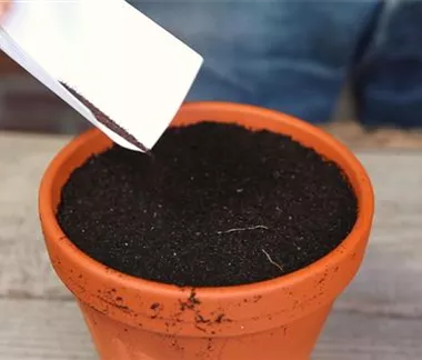 Ziergarten im Januar