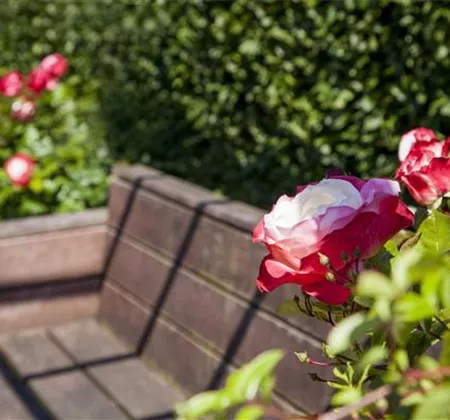 Terrasse & Balkon im März