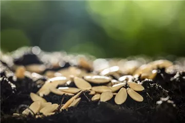 Terrasse & Balkon im Februar