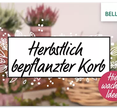 Herbstlicher Korb