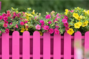 Balkonkästen bepflanzen 