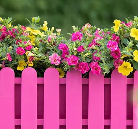 Balkonkästen bepflanzen 