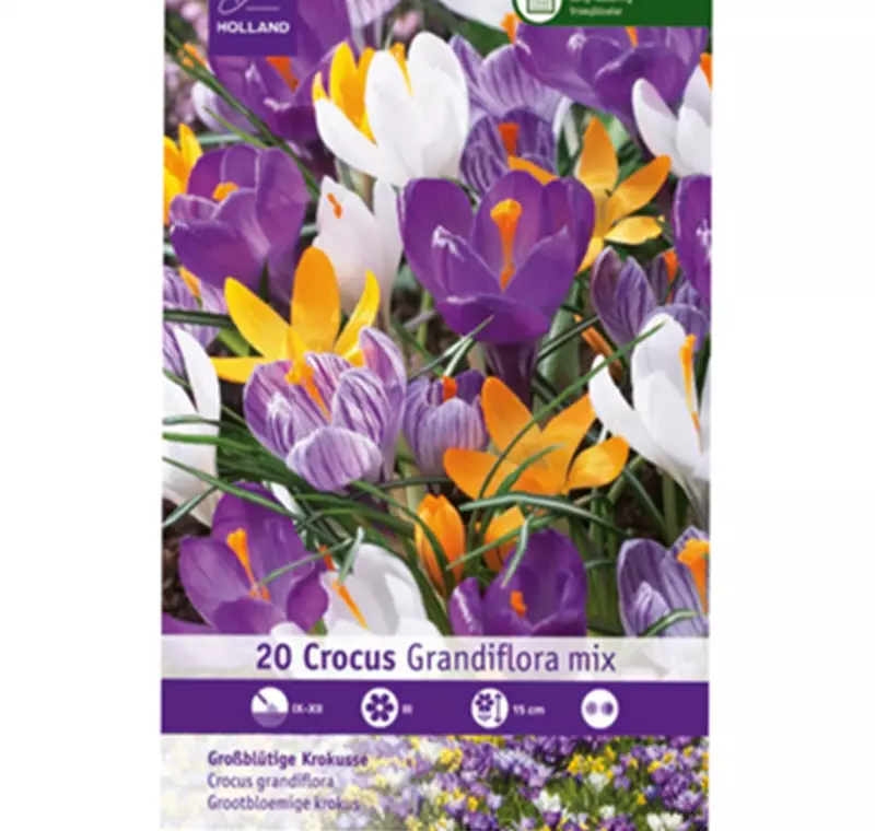 Krokusse - 3,99 €