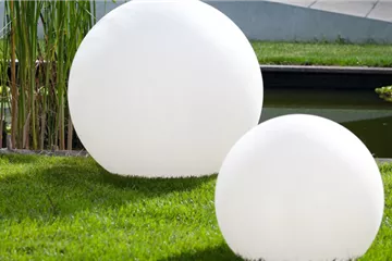 Rasenpflege im Frühling 